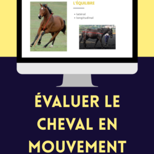 Évaluer le cheval en mouvement - Webinaire