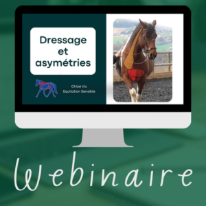 Dressage et asymétries - Webinaire