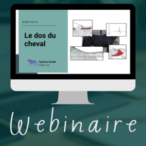 Le dos du cheval - Webinaire